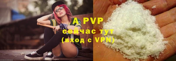 крисы Краснослободск