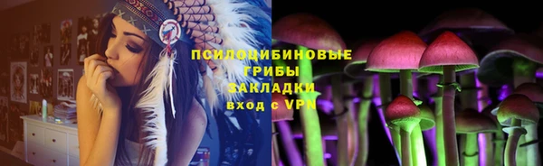крисы Краснослободск