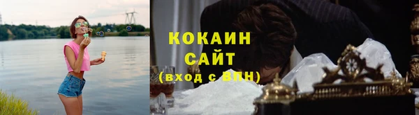 крисы Краснослободск