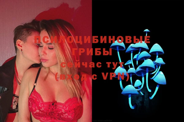 крисы Краснослободск