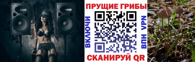 Купить закладки  Переславль-Залесский  Псилоцибиновые грибы Magic Shrooms 